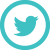 Twitter Turquoise Icon