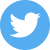 Twitter Icon