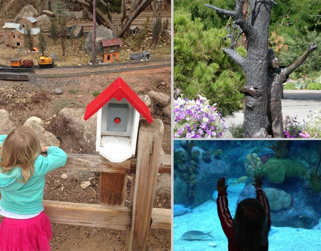 Sharks Trains And Giant Veggies Family Fun At The Abq Biopark