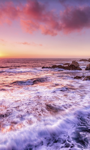 Monterey Event Calendar 2022 April Calendar 2022 Monterey Event Calendar 2022 April Calendar 2022