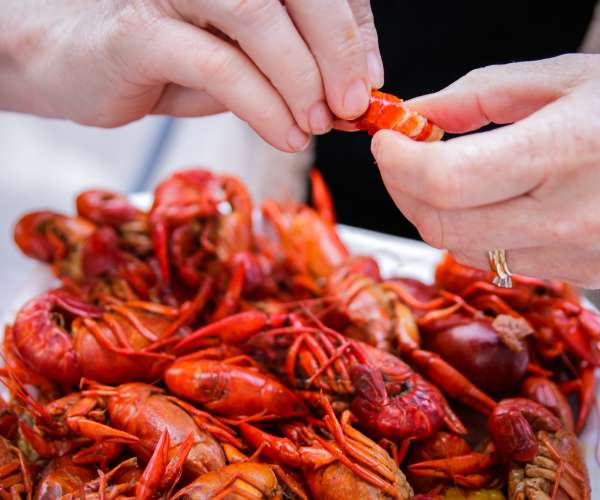 Boiled Crawfish