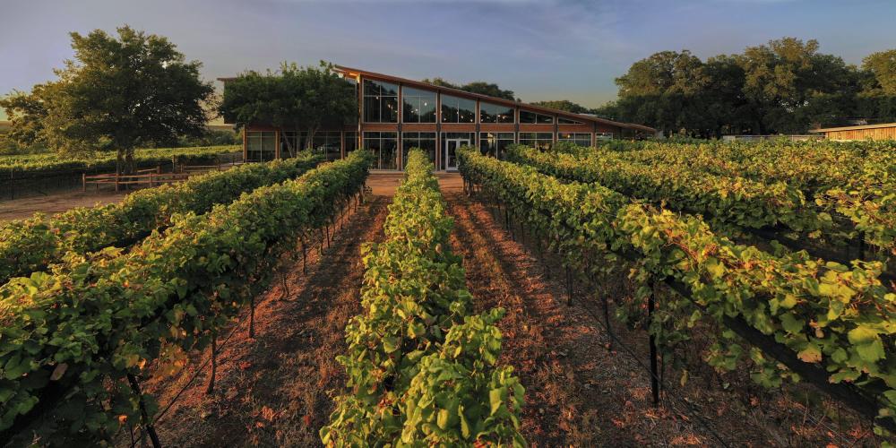 Photo of the tasting room building at William Chris Vineyards behind rows of grapevines