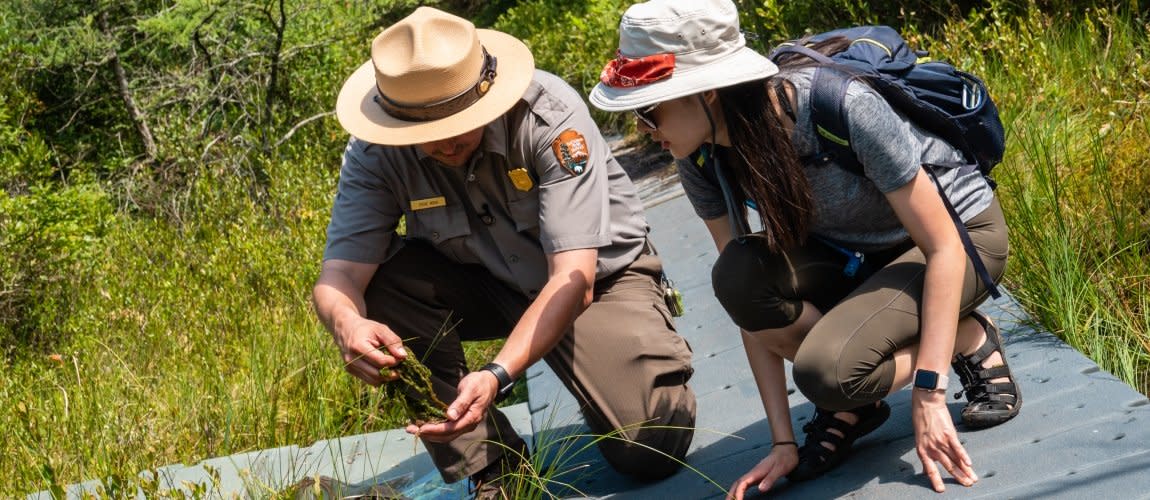 Ranger and volunteer examining flora