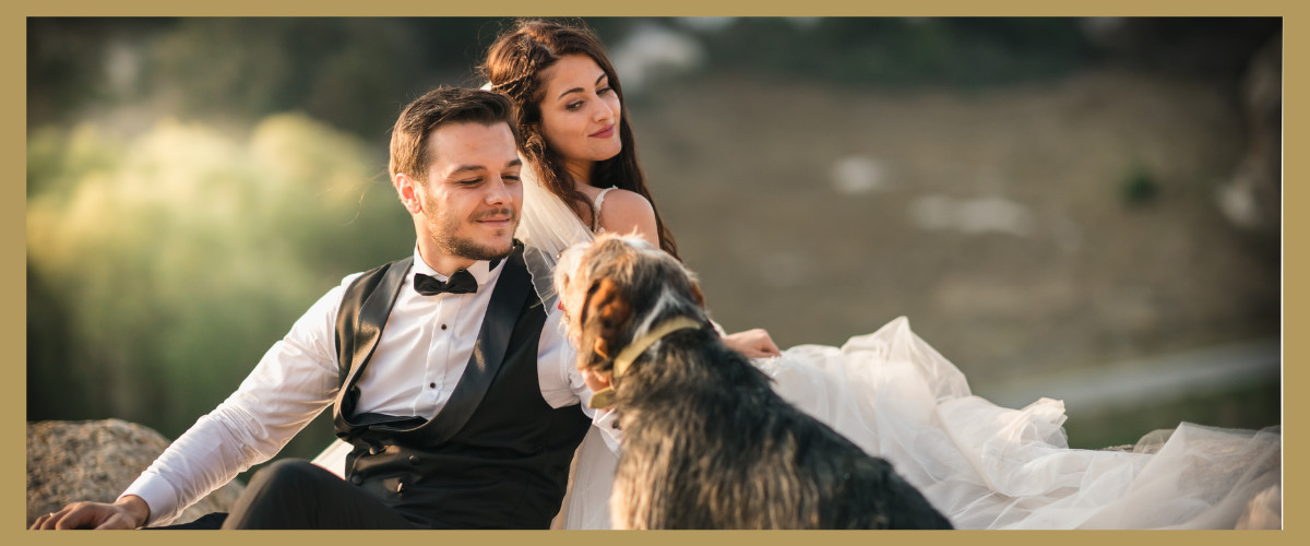 Wedding Trends