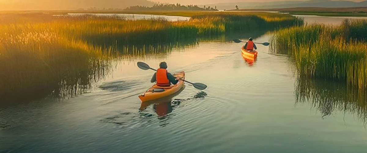 Napa Kayak