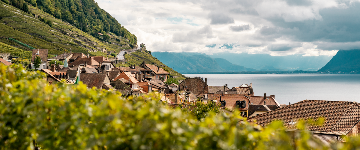 Lavaux
