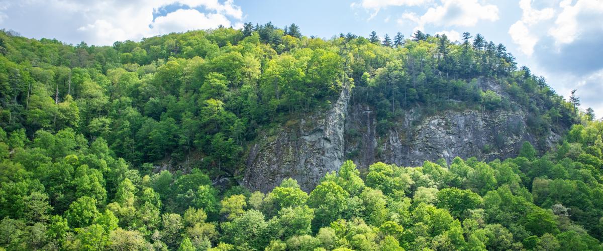 Spring Cullasaja River Gorge