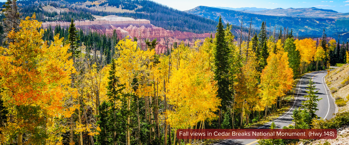 Fall Views in Cedar Breaks (Hwy 148) | Sized for Blog