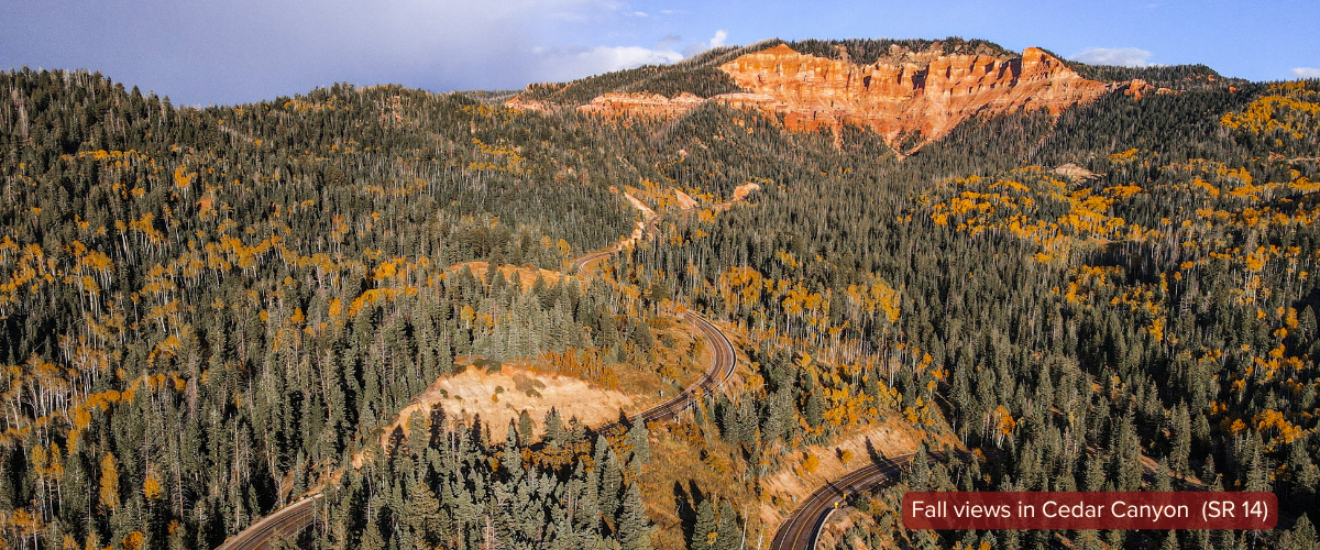 Fall Views in Cedar Canyon (Hwy 14) | Sized for Blog