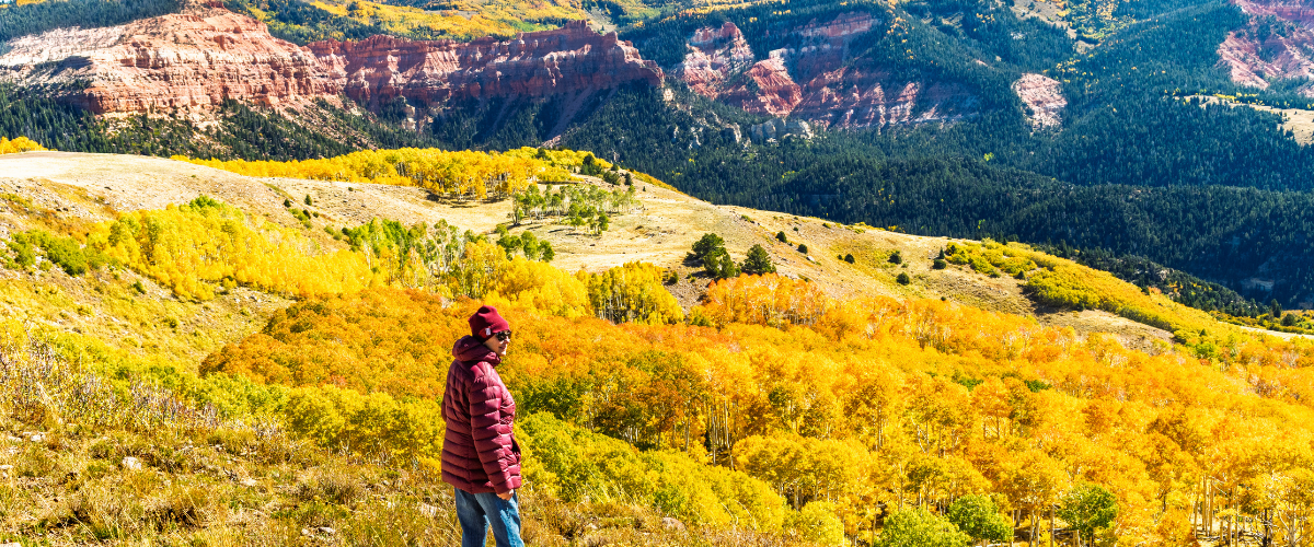 Fall Color Views from an ATV Ride to High Mountain