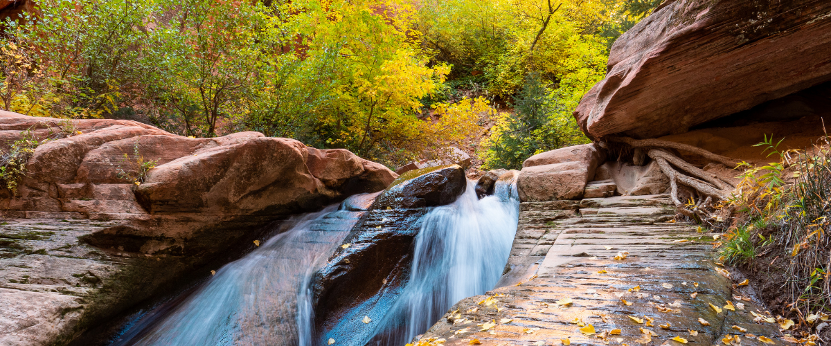 Fall Colors on the Kanarra Falls Trail
