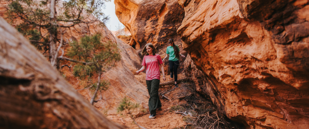 Thunderbird Gardens Hiking