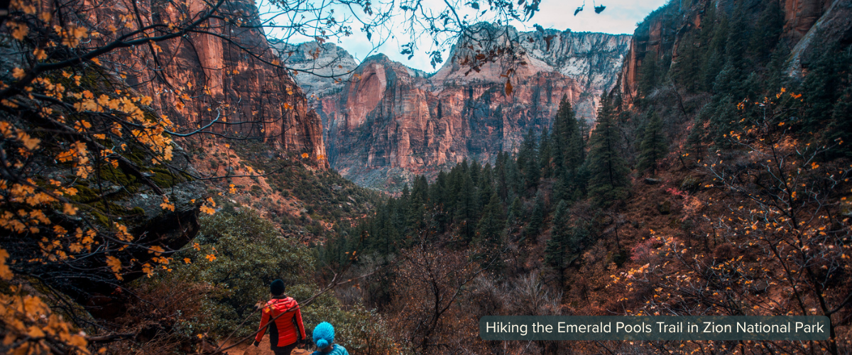 Emerald Pools Hike - Zion National Park in Winter