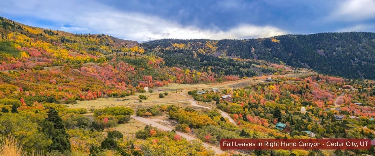 Fall Color in Right Hand Canyon | Sized for Blog