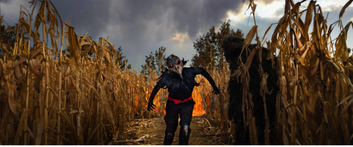 Scary figure in a haunted corn maze