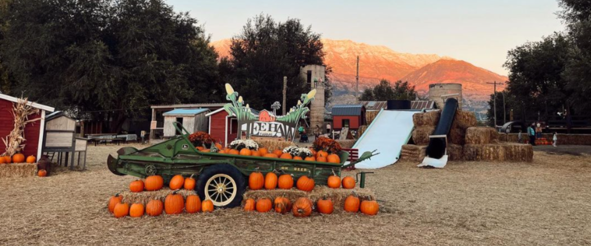 Fall Farm with pumpkins