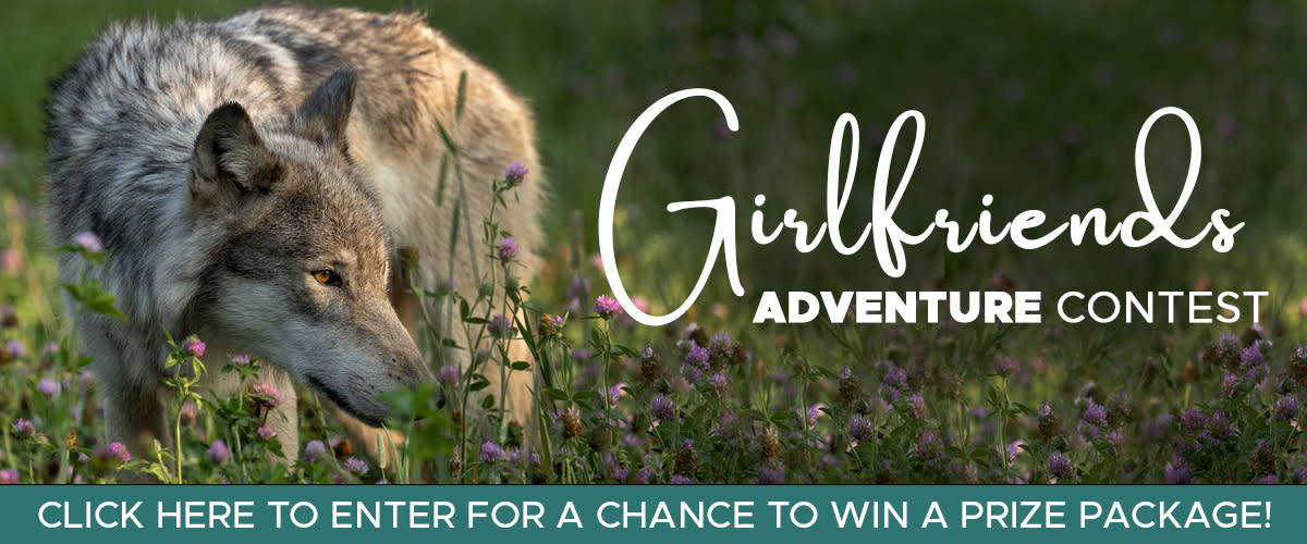 Girlfriends Adventure Contest