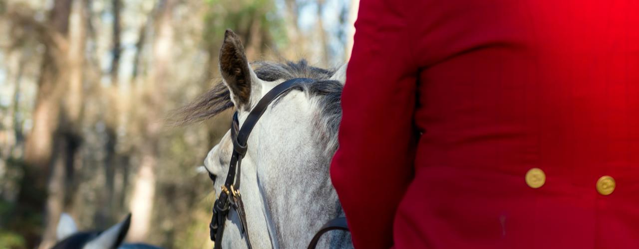 Red Coat Rider