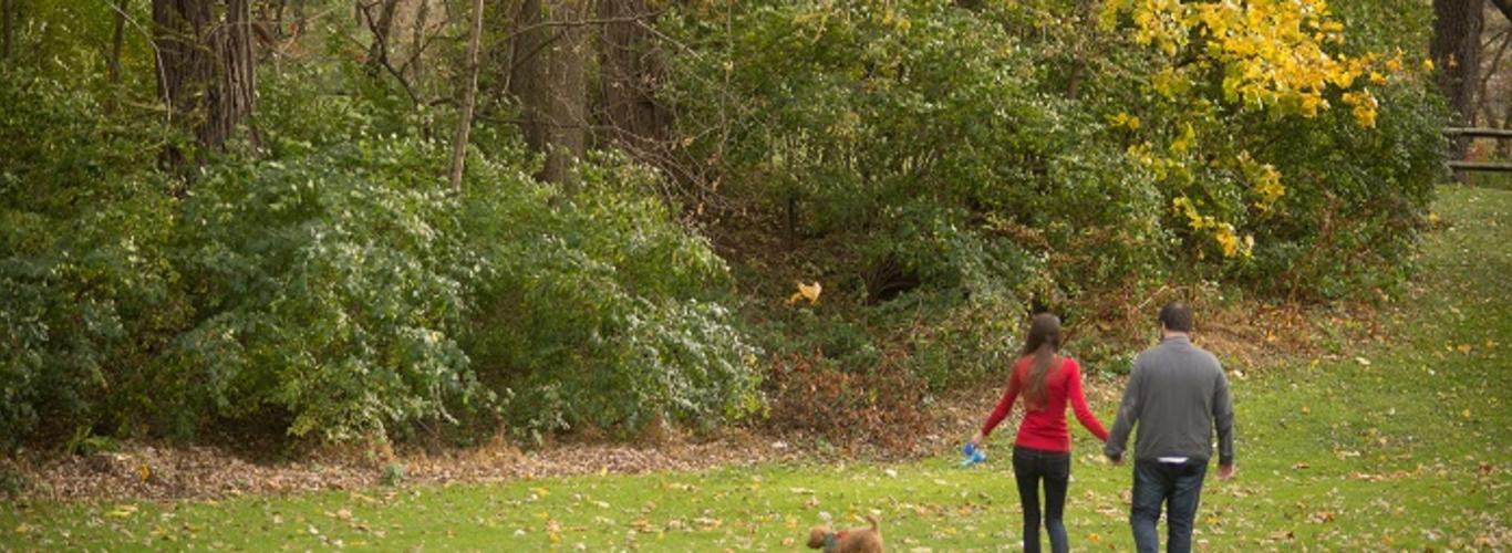 york county places your pets are