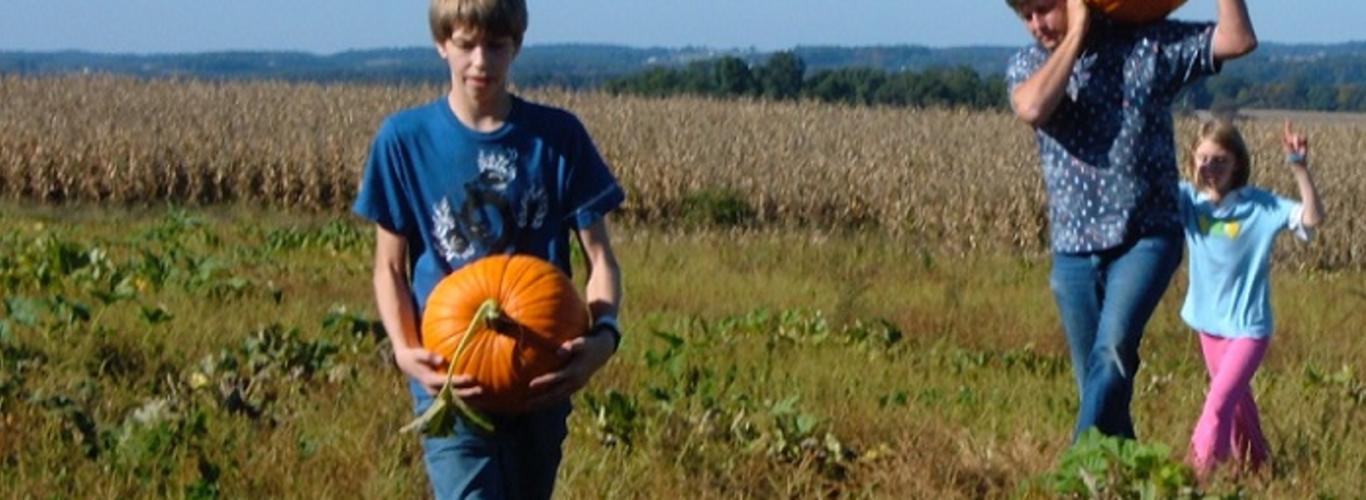 Fall Festival Guide For York Pa