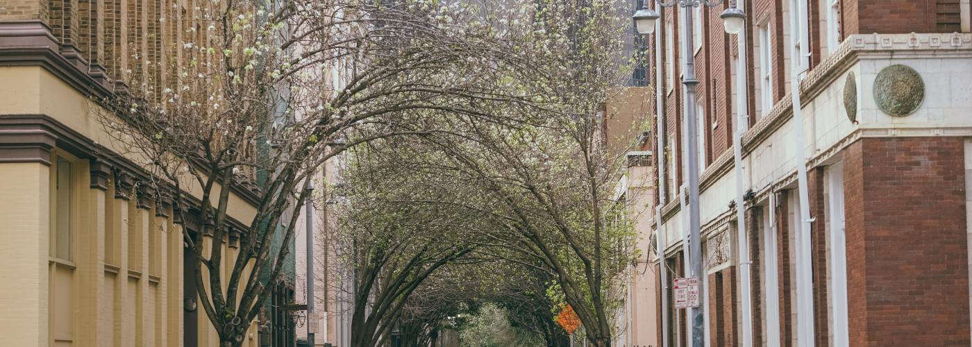 Lafayette Street & Baronne Street - Downtown - CBD - Springtime