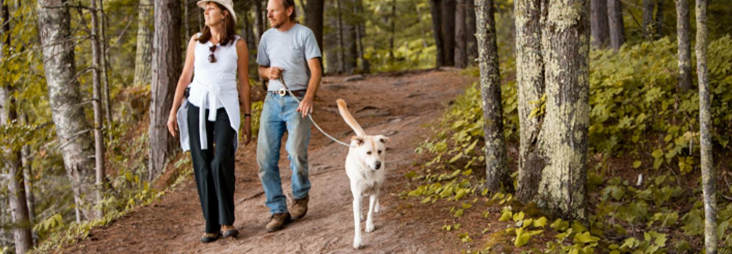 dog walking trail