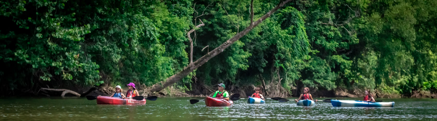 Kayaks