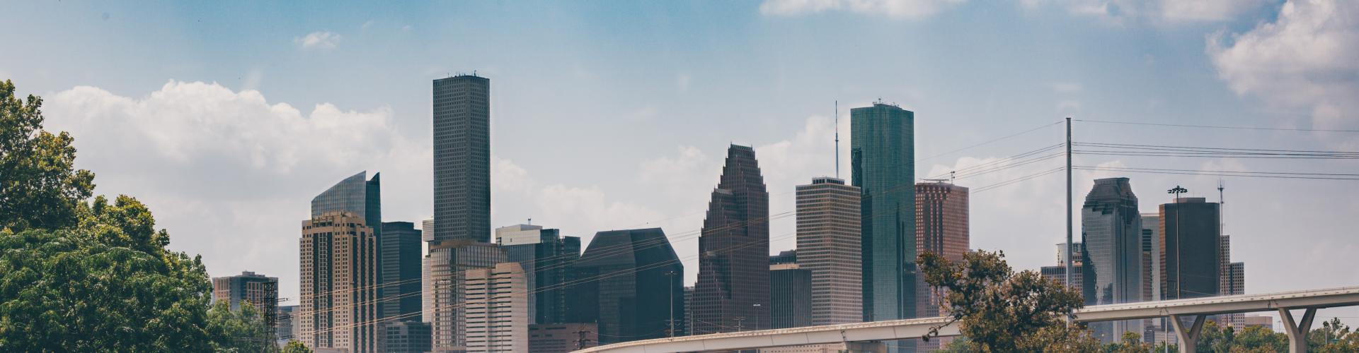 Copy of houston skyline bayou