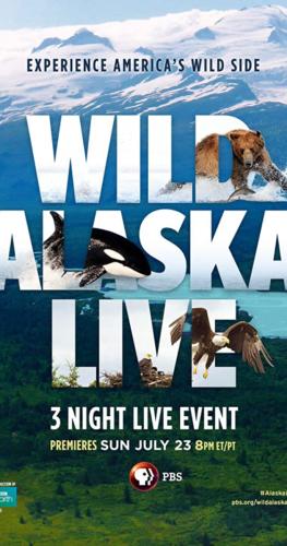 Wild Alaska Live