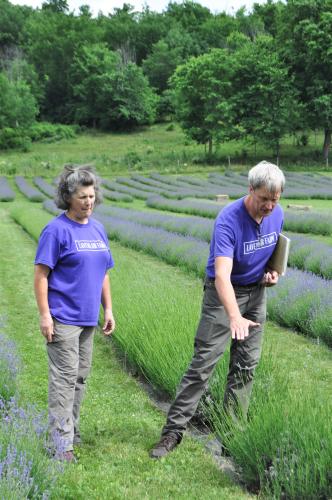 Dave and Diane standing over lavender as they give a tour at Lavenlair Farm