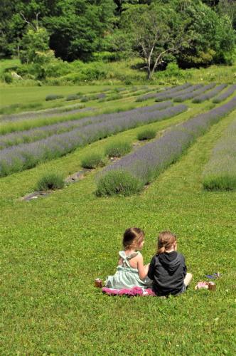 Two little girls sitting on the grass by lavender field at Lavenlair Farm