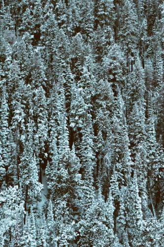 Snowboarding Hogadon Basin Ski Area Casper Mountain