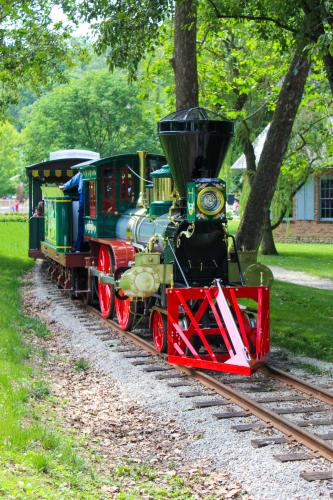 Rail Fest Train
