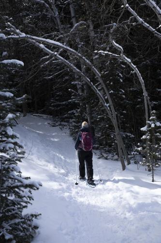 Snowshoeing in the Snowy Range, Possibly Corner Mountain