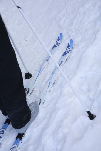 cross-country skis winter close-up