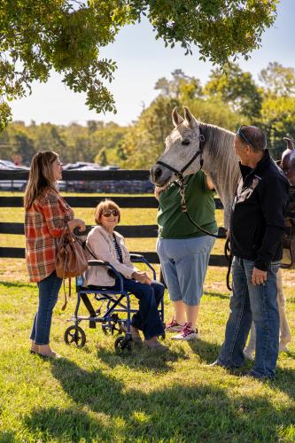 HorseSensing Farm Tour