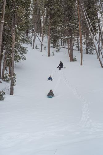 kids sledding down snowy hill