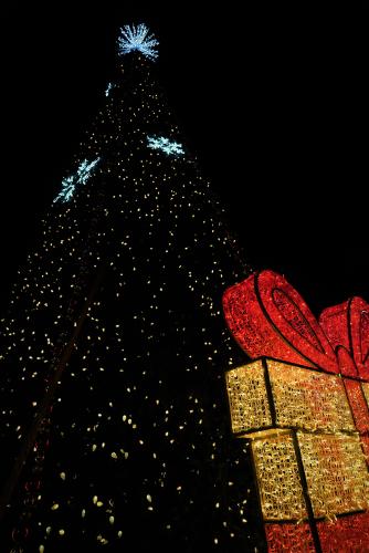 Las Cruces Tree Lighting