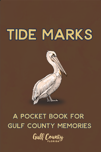 An image of a pelican on a pocket sized Guide book labeled Tide Marks