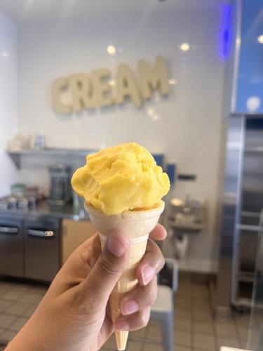 Vegan Sorbet at Cream Nation