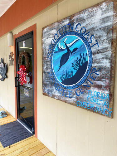 Forgotten Coast Sea Turtle Center