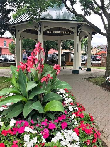 Hathorn Spring with flowers