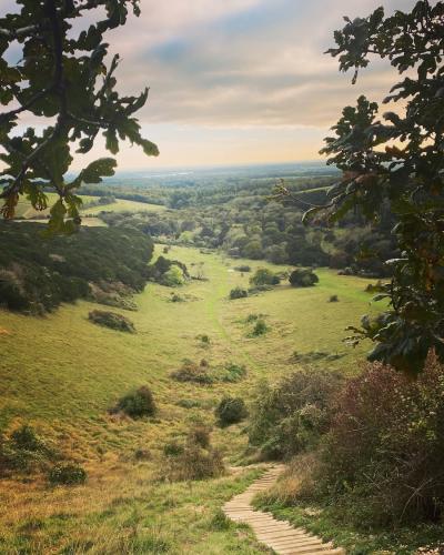 Kingley Vale