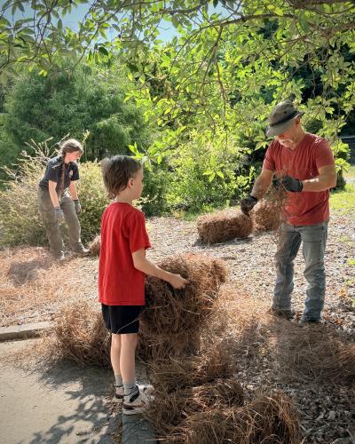 St. Stephens Park Stewardship Day