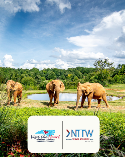 Zoo NTTW