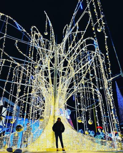 Winterland at the Shops Christmas willow tree