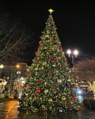 university place christmas tree lighting