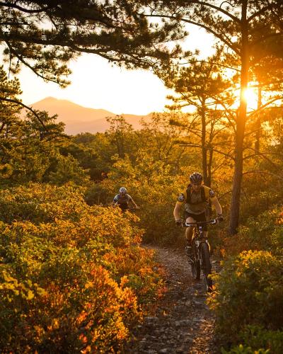Sharps ridge hotsell mountain bike trails