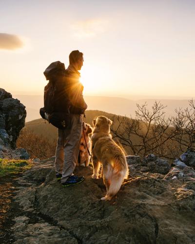 10 Exciting Dog Friendly Hikes in Virginia