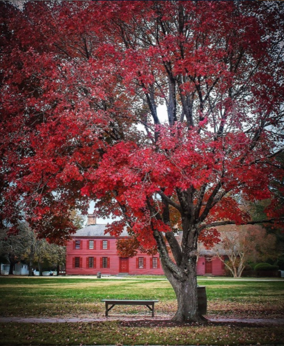 Ghost Tour Social - Blog Image